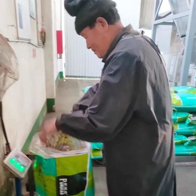 30 킬로그램 가금 사료 건강 견음 식품 첨가물 피 식사 파우더