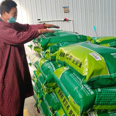 가축 단백질 사료 스프레이는 가금류를 위한 혈장 단백질 피 식사를 말렸습니다