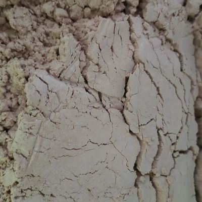 사료 첨가물 컴퍼니스피드 원료 분무 건조된 오리 플라스마 단백질 분말 이 제품이 노르스름한 고체 파우디입니다