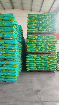 사료 첨가용 분무 건조 혈장 단백질 분말, 연한 노란색, 조단백질 70%